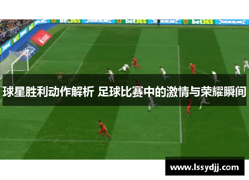 球星胜利动作解析 足球比赛中的激情与荣耀瞬间