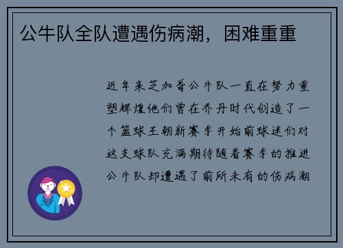 公牛队全队遭遇伤病潮，困难重重
