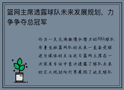 篮网主席透露球队未来发展规划，力争争夺总冠军